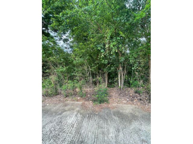 ขายที่ดิน ต.หัวตะพาน อ.วิเศษชัยชาญ จ.อ่างทอง 211 วา