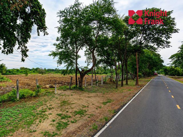 ขายที่ดิน 25 ไร่ ใกล้แม่น้ำมูล อำเภอพิมาย จังหวัดนครราชสีมา