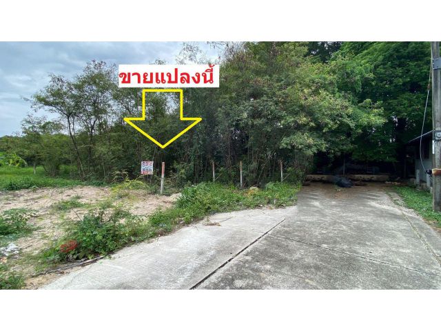ขายที่ดิน ชัยพฤกษ์ บางนา-ตราด กม.18 สมุทรปราการ ประเมินวาละ22,000 ขายเพียงวาละ13,000