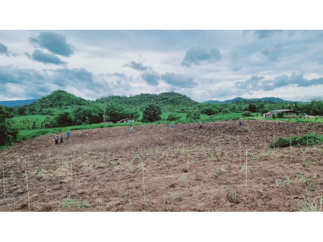 ขายที่ดิน 17 ไร่