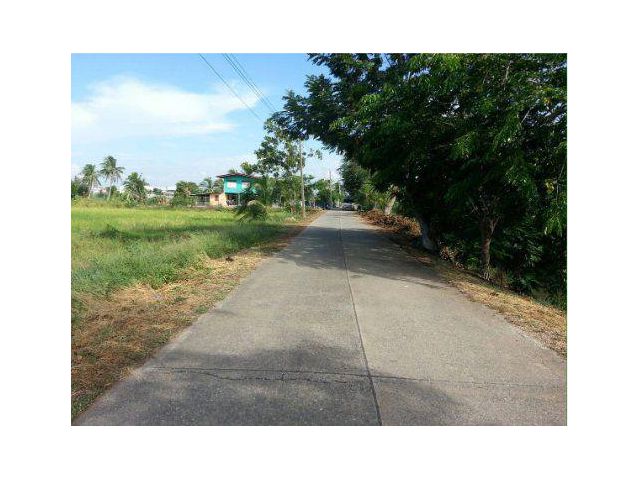 ขายที่ดิน 11 ไร่ ติดถนนคอนกรีต ใกล้ถนนวงแหวนตะวันตก อ.สามโคก จ.ปทุมธานี