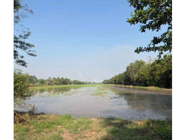 ขายที่ 60ไร่ๆละ 669,000บ. ติดถนนเลียบคลอง12ตะวันออก หนองสามวัง หนองเสือ ปทุมธานี