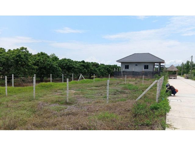 ขายที่ดินตำบลขัวมุงสารภีติดถนนโฉนดพร้อมโอน