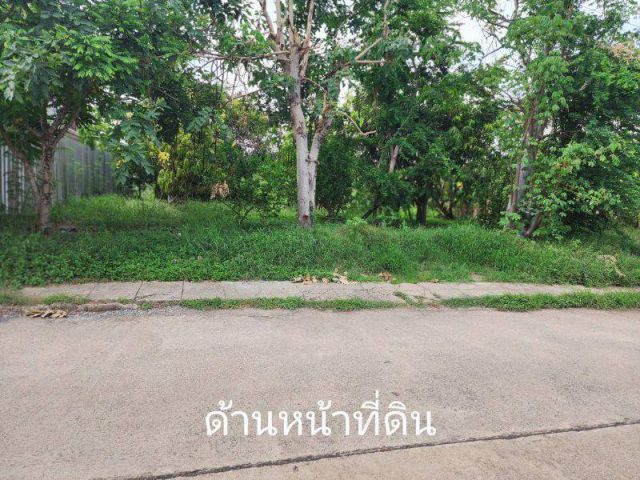 ขายที่ดิน มีนบุรี 100ตรว.ถ.คุ้มเกล้า4/1 เข้าซอยเพียง 120ม.062-5948822