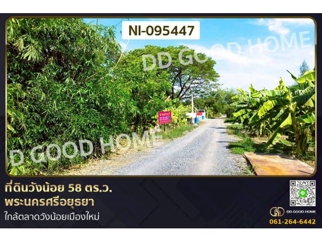ที่ดินวังน้อย 58 ตร.ว. พระนครศรีอยุธยา ใกล้ตลาดวังน้อยเมืองใหม่ NI-095447