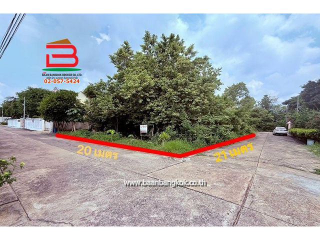ที่ดิน หมู่บ้าน โกลเด้นเพลส (วัชรพลซอย 1/4 ซอย 9) เนื้อที่ 103.7 ตรว. ใกล้โรงเรียนรัตนโกสินทร์สมโภชบางเขน ถนนวัชรพล