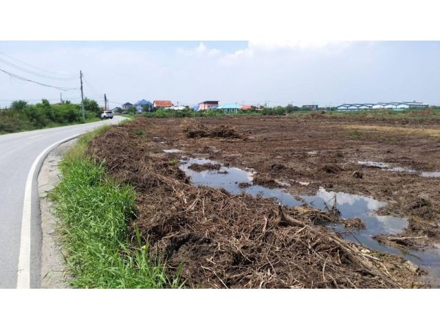 ขายที่ดิน 17 ไร่ ต.ท่าข้าม อ.บางปะกง จ.ฉะเชิงเทรา