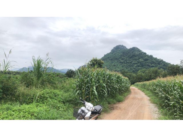 ขายที่ดิน 105 ไร่ ต.นาเฉลียง อ.หนองไผ่ จ.เพชรบูรณ์