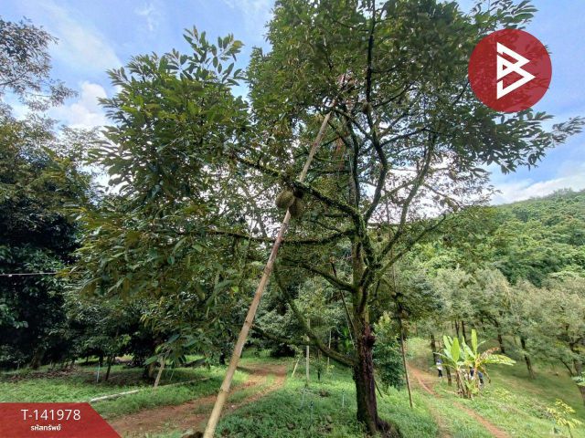 ขายที่ดินสวนทุเรียน เนื้อที่ 8 ไร่ ขลุง จันทบุรี