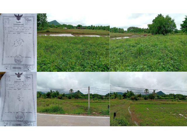 ขายที่ดินโฉนดครุฑแดง 10 ไร่ เพียง 950,000 บาท