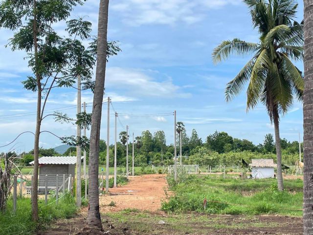 ที่ดิน เขาชะงุ้ม โพธาราม ราชบุรี