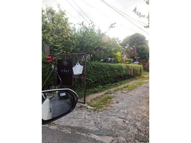 ขายที่ดินทำเลดีตำบลช้างเผือกกลางใจเมืองพร้อมโอน
