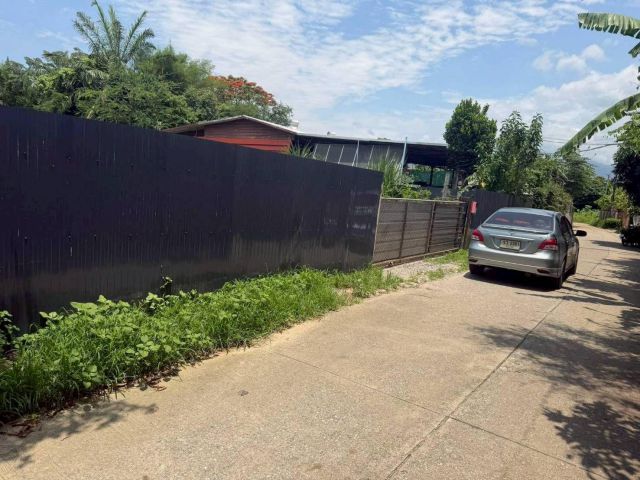 ขายที่ดินบ้านนางเหลียวหนองจ๊อมสันทรายพร้อมโอน