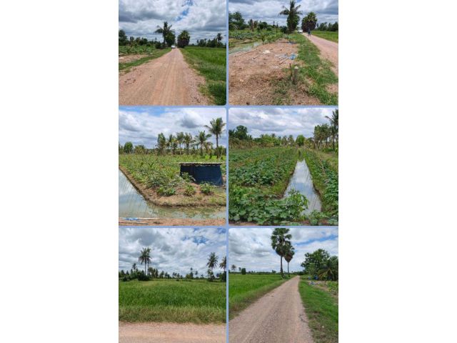 ที่ดินสวนและนา