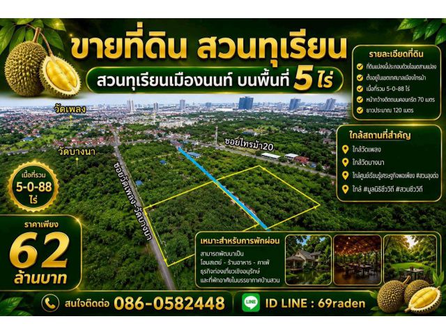 สวนทุเรียนเมืองนนท์ บนพื้นที่5ไร่