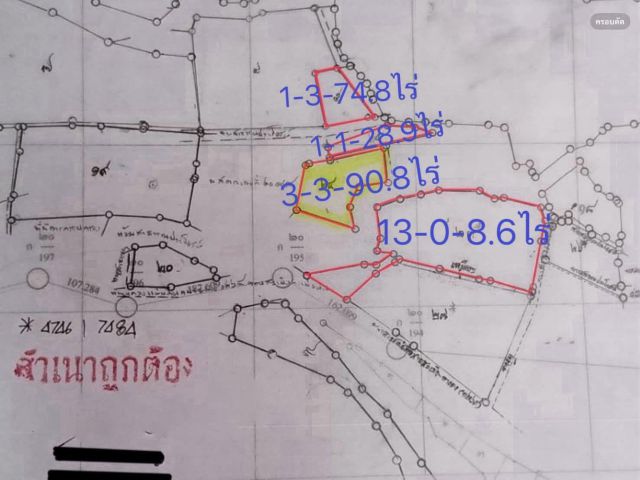 ขายสวนไม้สักตำบลสะเมิงใต้สะเมิงโฉนดครุตแดง
