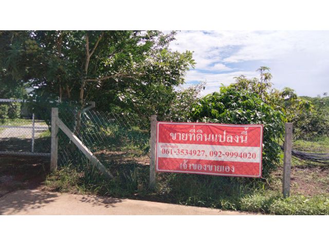 ต้องการขายที่8ไร่พร้อมบ้านและสวนผลไม้ที่ให้ผลผลิตแล้ว