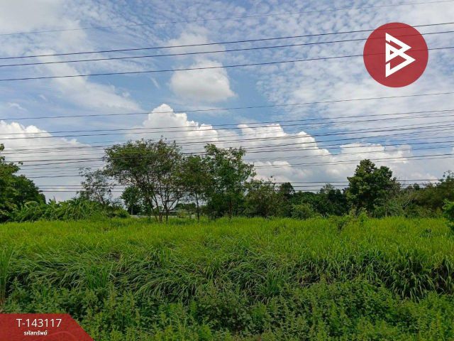 ขายที่ดิน เนื้อที่ 1 ไร่ 36 ตร.วา บางระกำ พิษณุโลก
