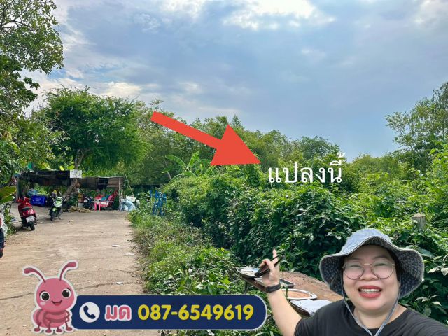 ที่ดินในเมืองยโสธร 143 ตารางวา