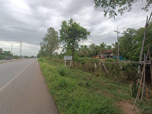 ขายที่ดิน 36 ไร่ ติดถนนสาย11 วังทอง-ตากฟ้า ต.หนองพระ อ.วังทอง จ.พิษณุโลก