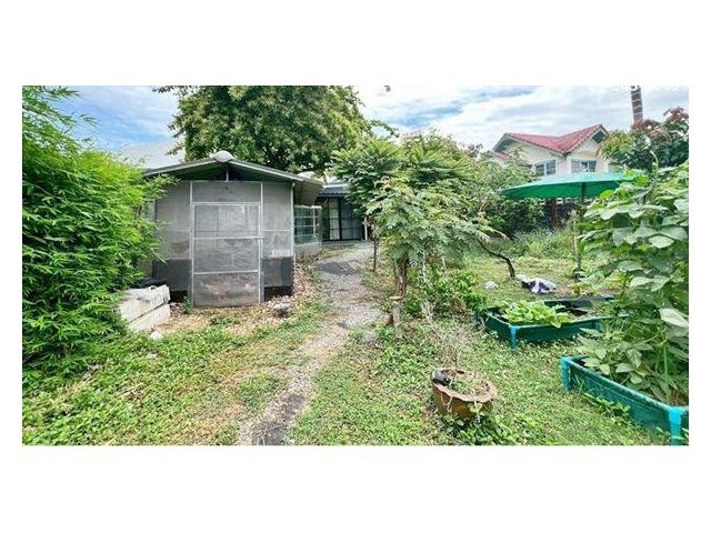 L884 ขายที่ดิน 121 ตร.ว. ประชาชื่น - งามวงศ์วาน ใกล้ทางด่วน รถไฟฟ้า ดอนเมือง