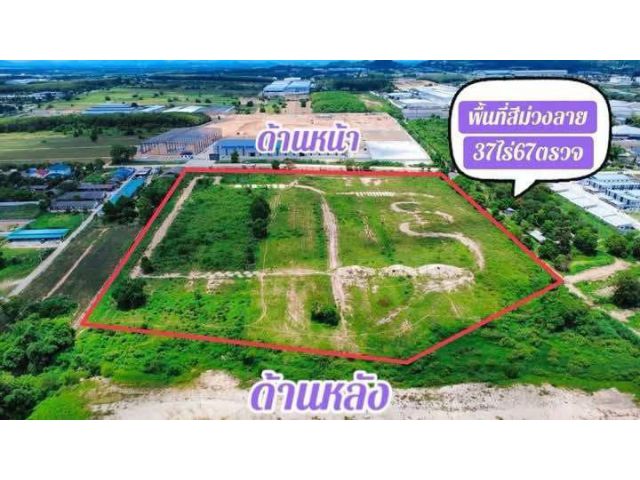 ขายราคาเล้าๆสายสร้างโรงงานด่วนๆ ขายราคาไร่ละ 2.500.000 ล้านบ.นัดดูที่ดินได้ ขายที่ดินเปล่าผังม่วงลาย อ.นิคมพัฒนาจ.ระยอง