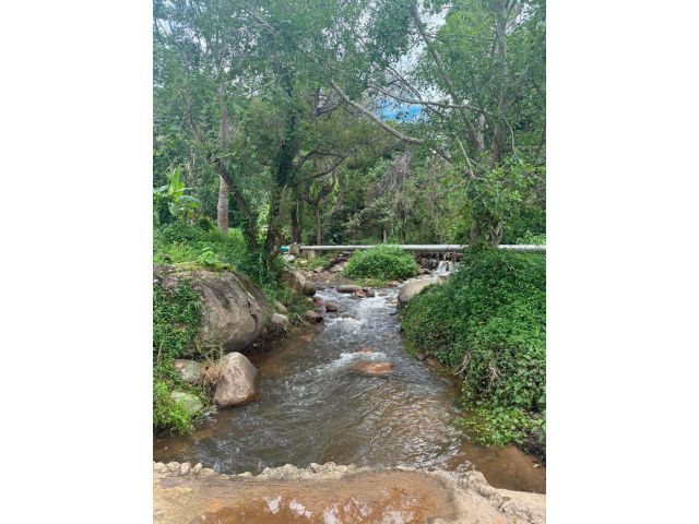 ขายที่ดินติดลำธารน้ำตำบลเทพเสด็จดอยสะเก็ตพร้อมโอน