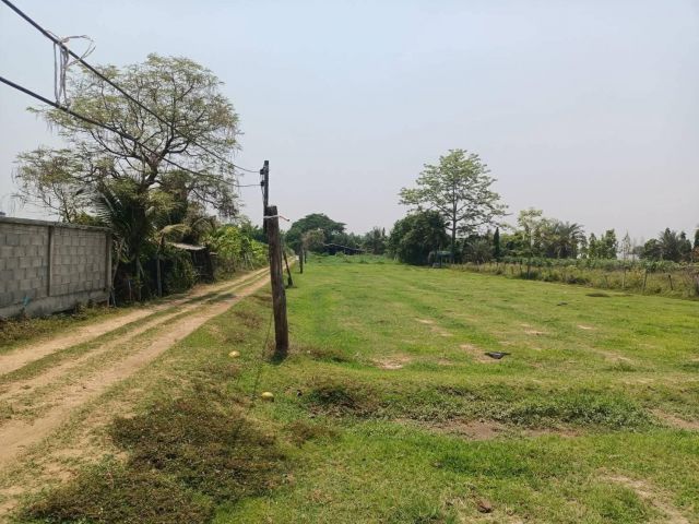 ขายที่ดินตำบลแม่แฝกใหม่สันทรายพร้อมโอน