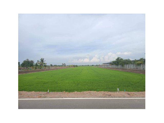 ขายที่ดิน 26 ไร่ ติดถนนสองด้าน ต.บัวปากท่า อ.บางเลน จ.นครปฐม