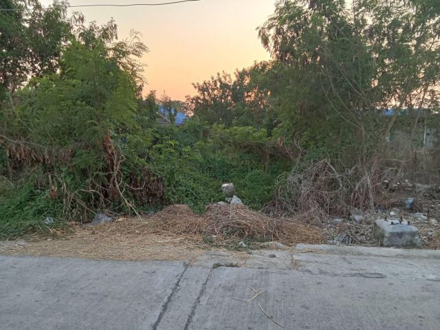 ขายที่ดิน15-0-18ไร่ คลอง8ธัญบุรี ต.ลำผักกูด อ.ธัญบุรี จ.ปทุมธานี