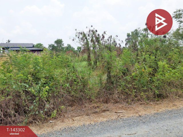 ขายที่ดิน เนื้อที่ 1 งาน 20 ตร.วา องครักษ์ นครนายก