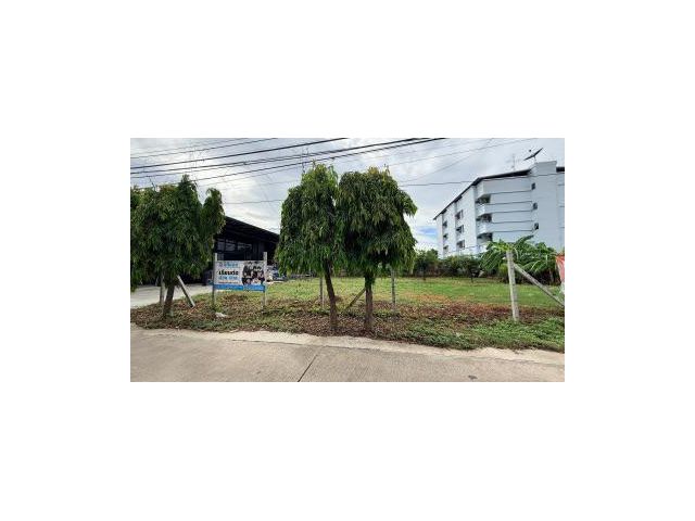 ขายที่ดิน 101 ตร.ว. ซอยสุขุมวิท64 ใกล้สถานีรถไฟฟ้าปุณณวิถี