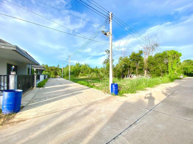 ขายที่ดินตะพงถมแล้ว 52 ตรว. แปลงหัวมุม ซอยตะกาดสาย1 ใกล้ถ.สุขุมวิท3-500เมตร เมืองระยอง