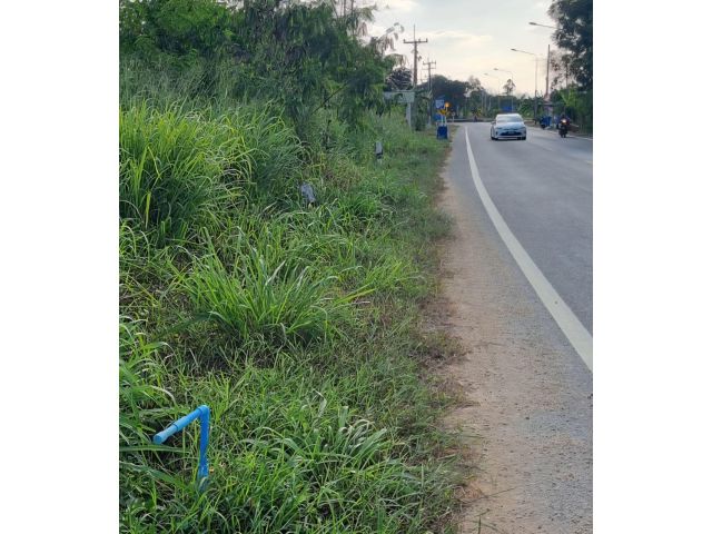 ขายที่ดินติดถนนลาดยาง