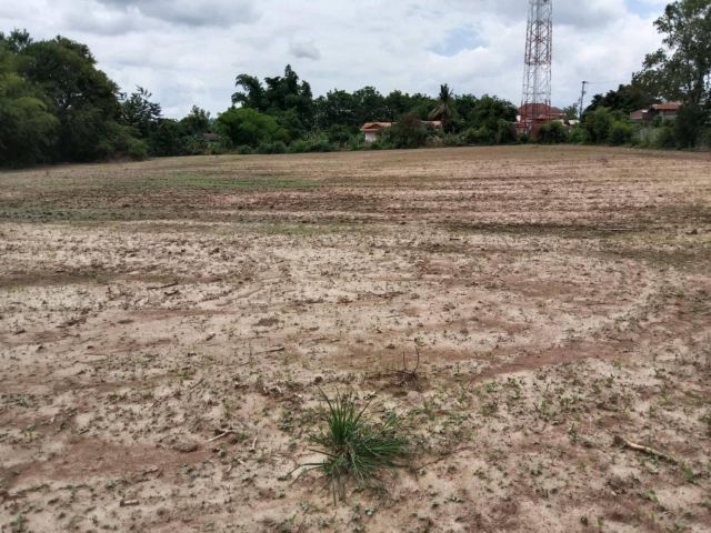 ขายที่ดิน 5 ไร่ ต.ธาตุ อ.เชียงคาน จ.เลย