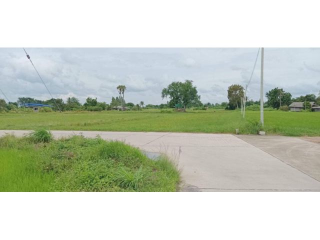 ขายที่ดิน 17 ไร่ ต.หนองขยาด อ.พนัสนิคม จ.ชลบุรี