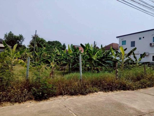 ขายที่ดินบ้านใหม่สามัคคีแม่เหียะติดถนนพร้อมโอน