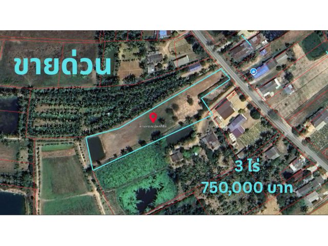 3 ไร่ ติดถนนใหญ่ ทำเลดี กุยบุรี ราคาเพียง 7.5 แสน