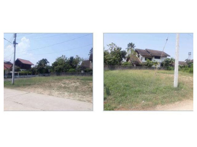 ขายที่ดินตำบลแม่เหียะแปลงมุมติดถนนสองด้านพร้อมโอน