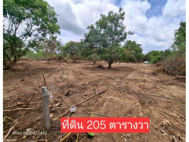 ขายที่ดินสวนผึ้งราคาถูก205ตร.วา2.5แสน ใกล้ตลาดป่าหวาย1.5กม.