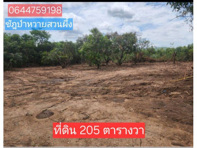 ขายที่ดินสวนผึ้งราคาถูก205ตร.วาเพียง250,000บาท ใกล้ตลาดชัฎป่าหวาย1.5กม.ที่ดินเหมาะปลูกบ้านอยู่อาศัยพักผ่อนวันหยุด