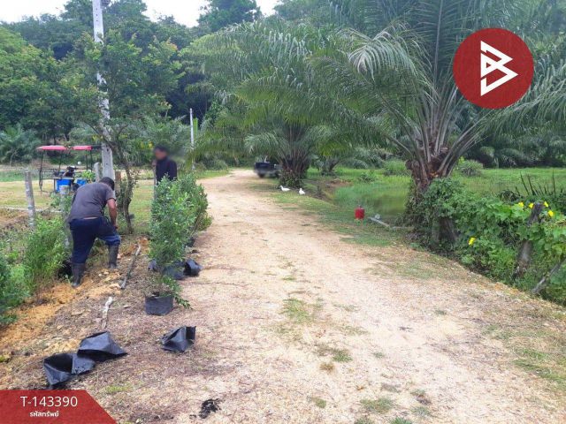 ขายที่ดิน เนื้อที่ 4 ไร่ 72 ตร.วา เกาะลันตา กระบี่