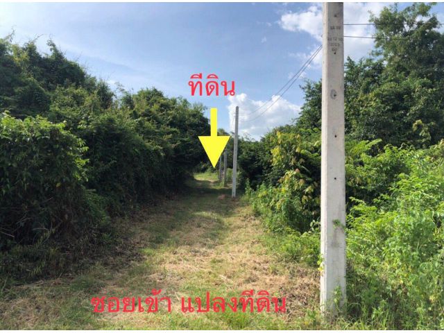 ที่ดิน 51 ตรว. ใกล้ บ้านนาแอง [2]