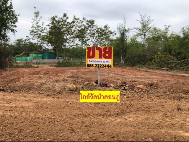 ที่ดิน 50 ตรว. ใกล้ วัดป่าดอนภู่ [1]