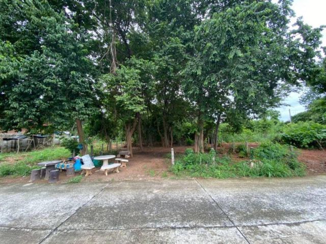 L1223 ขายที่ดิน 60 ตรว เมืองนครราชสีมา