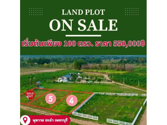 ที่ดิน ชะอำ ใกล้ทะเล วิวภูเขา ขนาด 100 ตร.วา ผ่อนได้
