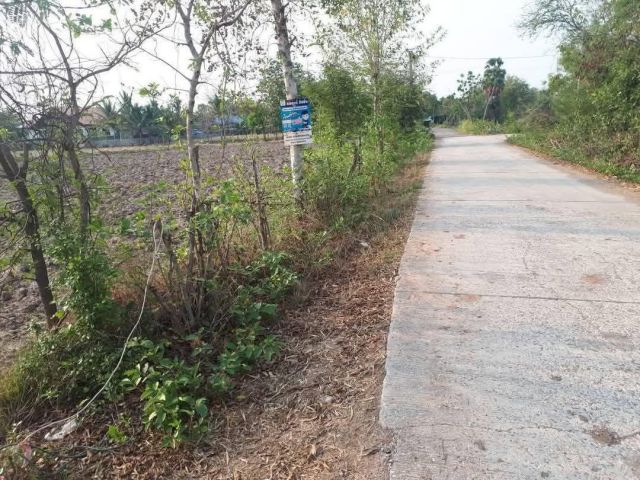 ที่ดิน (ที่นา) หน้ากว้าง ติดถนน มีสาธารณูปโภคครบ