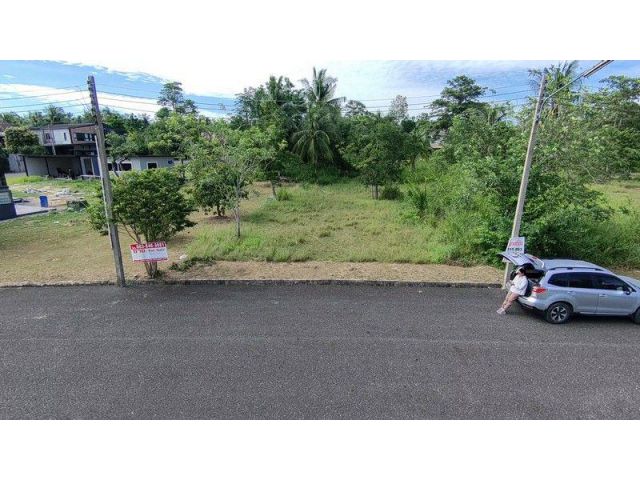ขายที่ดิน จัดสรร 120 ตรว. โครงการบ้านเนินน้ำ แวดล้อมด้วยธรรมชาติ เหมาะสร้างบ้านพัก ตะเคียนเตี้ย บางละมุง