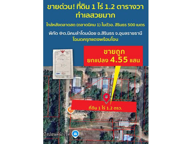 **ปลอดภัยจากแผ่นดินไหว และน้ำไม่ท่วม*** ขายที่ดินสวยมาก 1 ไร่ 1.2 ตารางวา พิกัด หลังตลาดกลาง (ตลาดนิคม 1) ต.นิคมลำโดมน้อ