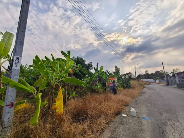 ขายที่ดินกทม.ทวีวัฒนาราคาถูก